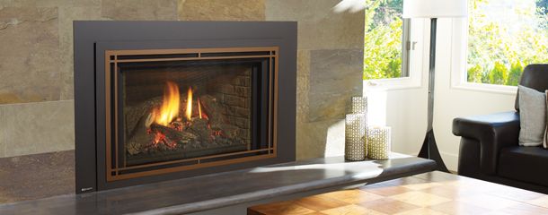 Lp Fireplace Insert Fresh Gas Fireplace Inserts Regency Fireplace Products