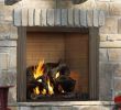 Majestic Fireplace Insert Best Of Elegant Outdoor Gas Fireplace Inserts Ideas