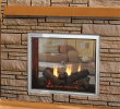 Majestic Gas Fireplace Insert Beautiful Majestic fortress 36 Indoor Outdoor See Through Gas Fireplace Odfortg 36