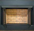 Metal Fireplace Insert Fresh Buck Fireplace Insert – Petgeek