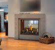 Monessen Gas Fireplace Elegant Superior Drt35st Direct Vent See Through Gas Fireplace