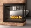 Napoleon Gas Fireplace New Gas Fireplace Napoleon High Definition