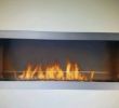 Napoleon Outdoor Fireplace Inspirational Stainless Steel Outdoor Fireplace