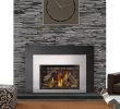 Natural Gas Fireplace Insert Vented Inspirational Xir4 Gas Inserts