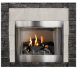 Non Vented Gas Fireplace New Empire Carol Rose Coastal Premium 42 Vent Free Outdoor Gas Firebox Op42fb2mf