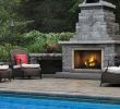 Outdoor Fireplace Kit for Sale Elegant Napoleon Riverside 42 Clean Face Outdoor Gas Fireplace