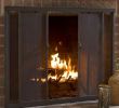 Prefabricated Fireplace Doors Fresh Modern Wood Burning Fireplace Doors Year Of Clean Water