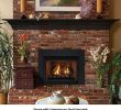 Propane Fireplace Insert Awesome Gas Fireplace Inserts & Logs Give You the Look Of Real Fire