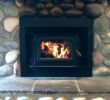 Propane Fireplace Insert Beautiful Buck Fireplace Insert – Petgeek