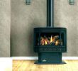 Propane Fireplace Insert with Blower New Vented Fireplace Insert Gas Fireplaces Installation Inch