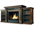 Realistic Electric Fireplace Insert Lovely Home Depot Electric Fireplace – Loveoxygenfo