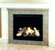 Regency Gas Fireplace Inserts Elegant Fireplace Insert Blowers – Highclassebook