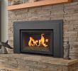 Replacement Gas Fireplace Inserts Elegant Pros & Cons Of Wood Gas Electric Fireplaces