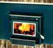 Replacement Gas Fireplace Inserts Unique Buck Fireplace Insert – Petgeek