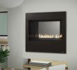 See Through Gas Fireplace Insert Elegant Unique Fireplace Idea Gallery