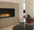 See Through Gas Fireplace Insert New Drl4543 Gas Fireplaces