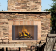 See Through Wood Burning Fireplace Elegant astria