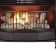 Small Ventless Gas Fireplace Elegant Ventless Gas Fireplace Pro Dual Fuel Stove Btu