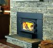 Small Wood Burning Fireplace Insert Fresh Wood Burning Stove Insert for Sale – Dilsedeshi