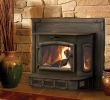 Small Wood Burning Fireplace Insert Inspirational Small Wood Burning Fireplace Inserts Fireplace Design Ideas