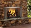 Stand Alone Wood Burning Fireplace Inspirational Majestic Odvilla42t