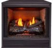 Vent Free Gas Fireplace Inserts Inspirational Gas Fireplace Inserts Fireplace Inserts the Home Depot