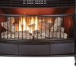 Ventless Gas Fireplace Safety Best Of Ventless Gas Fireplace Pro Dual Fuel Stove Btu