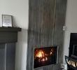 Vertical Gas Fireplace Fresh Vertical Panels Great Room Fireplace In 2019