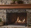 Victorian Gas Fireplace Insert Beautiful Shop Amazon