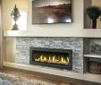 Wall Mounted Fireplace Heater Unique Home Depot Electric Fireplace – Loveoxygenfo