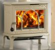 Wood Burning Fireplace Accessory Beautiful Jotul Door for F100 Ive Plete without Glass