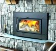 Wood Fireplace Inserts for Sale Beautiful Wood Burning Stove Insert for Sale – Dilsedeshi