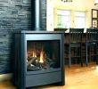 Wood Fireplace with Gas Starter Awesome Convert Wood Burning Stove to Gas – Dumat