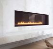 42 Inch Gas Fireplace Insert Awesome Spark Modern Fires