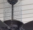 Bird In Fireplace Fresh How I Keep Birds Off Of My Porch Chicken Wire is A