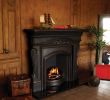 Cast Fireplaces Elegant Carron the London Plate Cast Iron Insert