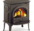 Cast Iron Wood Burning Fireplace Inspirational Pin On KuÄa