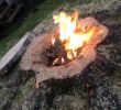 Charcoal Fireplace Beautiful Tree Stump Transformed Into An Awesome Fire Pit Plete