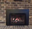 Coal Fireplace Insert Inspirational Valor Fireplace Inserts Charming Fireplace