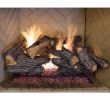 Direct Vent Gas Fireplace Venting Inspirational 24 In Split Oak Vented Gas Log Set Dual Burner Realistic