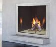 Ecosmart Fireplace Awesome Modern Fireplace Inserts Charming Fireplace