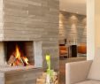 Ecosmart Fireplace Best Of 17 Best Ideas About See Through Fireplace Pinterest