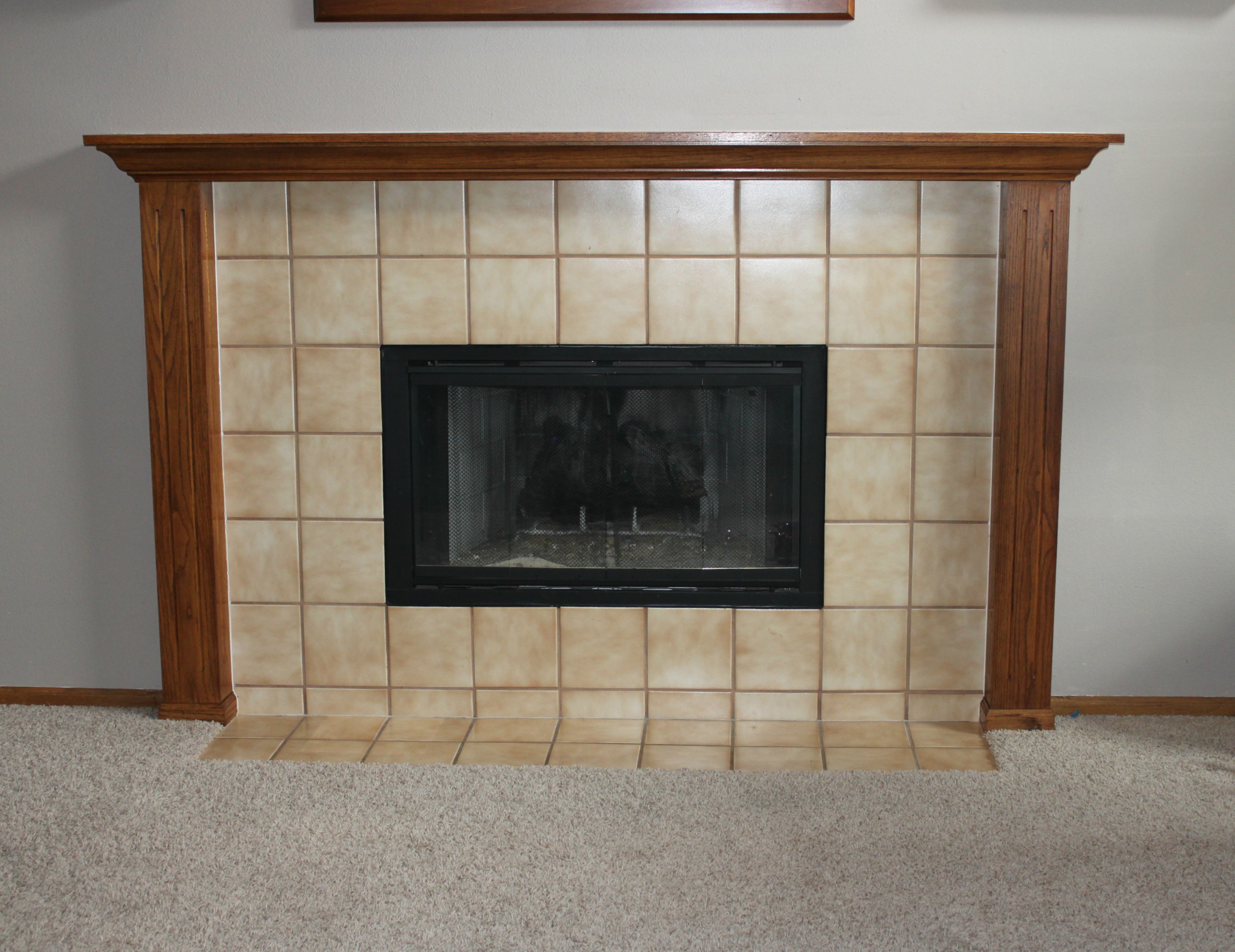 Ecosmart Fireplace New How to Update A Fireplace Charming Fireplace