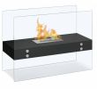 Ethanol Burning Fireplaces Luxury Vitrum H Freestanding Bio Ethanol Fireplace