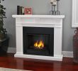 Fake Fireplace Insert New Real Flame Gel Fireplace Charming Fireplace