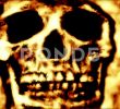 Fireplace Background New Skull Close Up In A Fire Like Background 4k Stock Footage