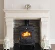 Fireplace Fuel Luxury A Medium Sized Stove In Our Collection is the Tara solid