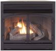 Fireplace Heater Home Depot Beautiful Gas Fireplace Inserts Fireplace Inserts the Home Depot