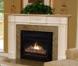 Fireplace Pilaster Lovely Ivory Cassatt Carved Infrared Fireplace