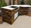 Fireplace Repair Las Vegas Unique Professional Barbecue Grills Archives Bbq Concepts